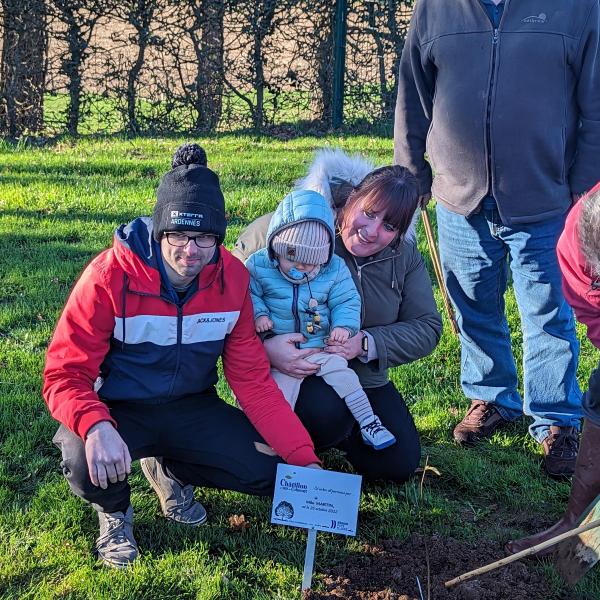 une naissance, un arbre