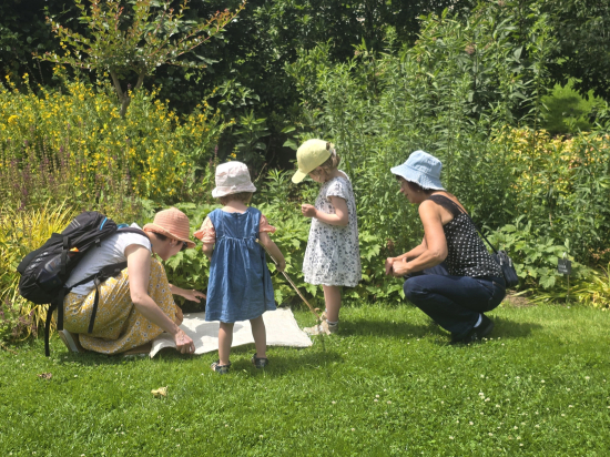jardin renaudies