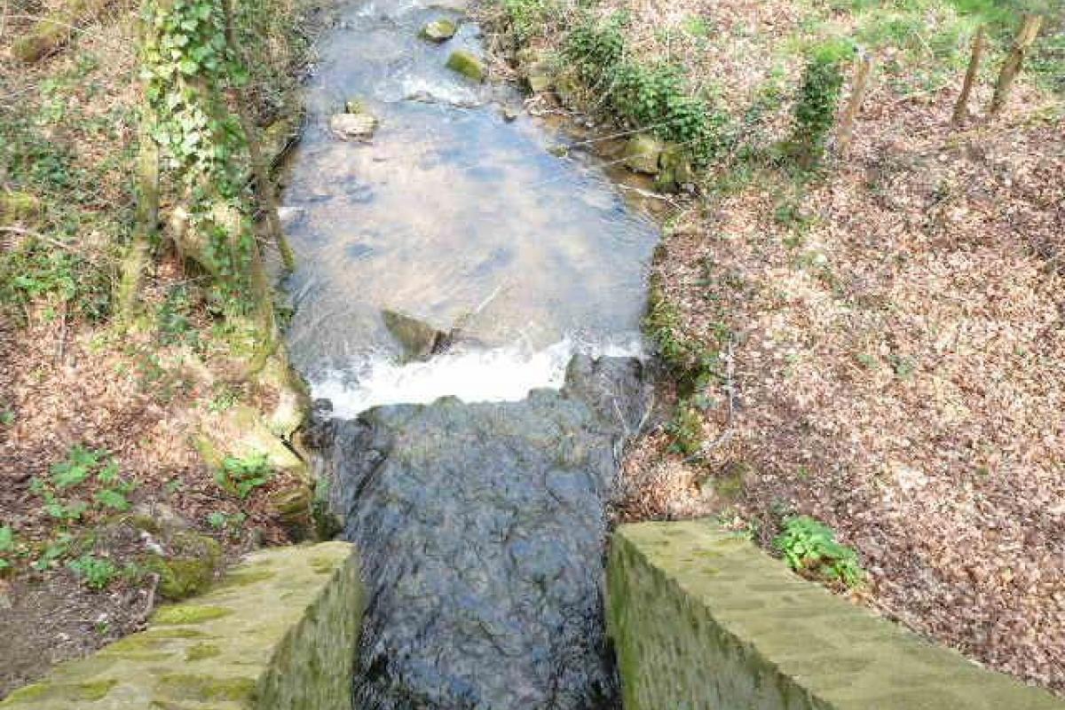 Mairie de ChâtillonsurColmont (53)